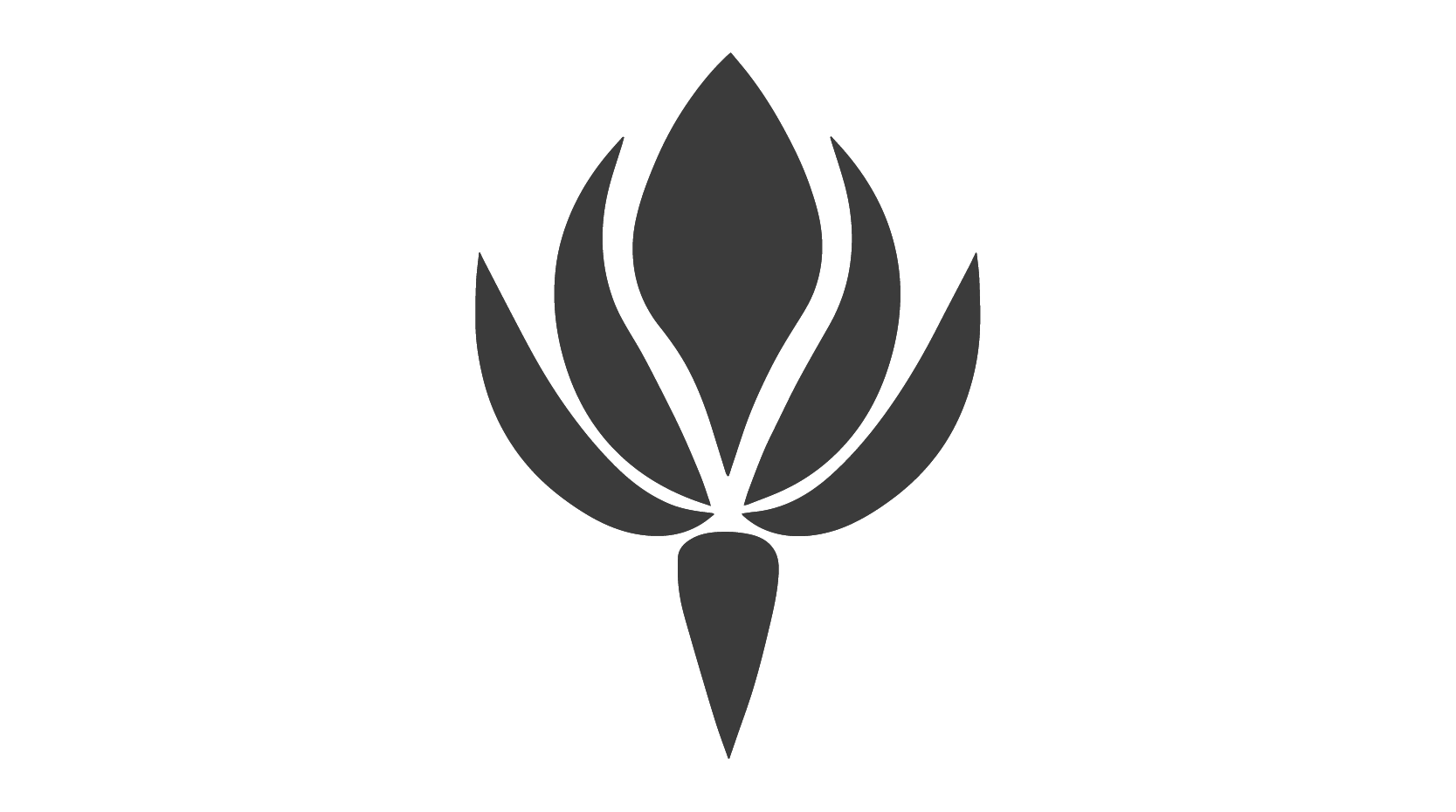 client image