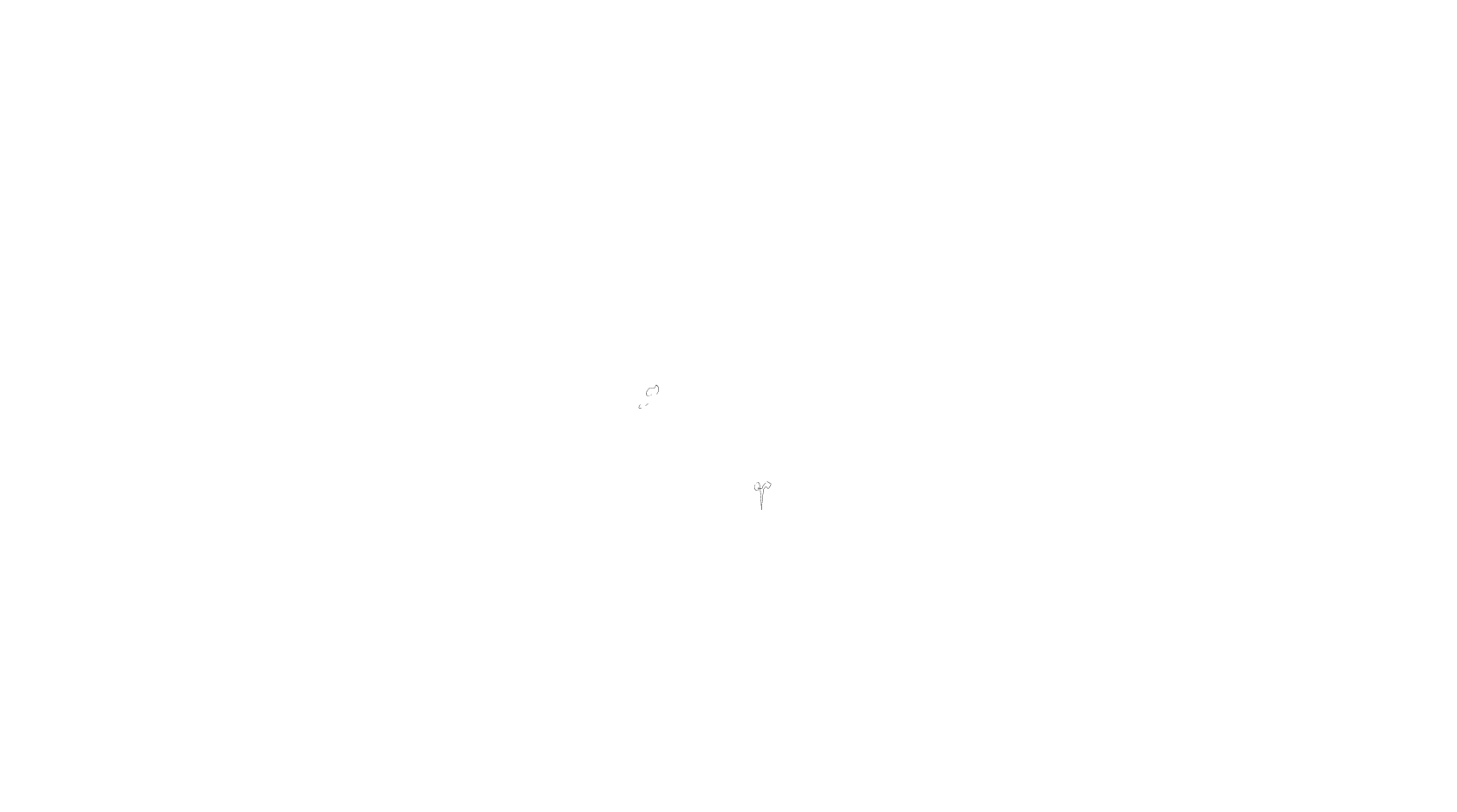 client image